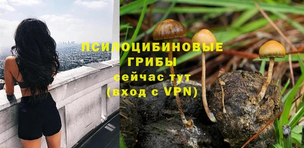 соль ск Михайловск